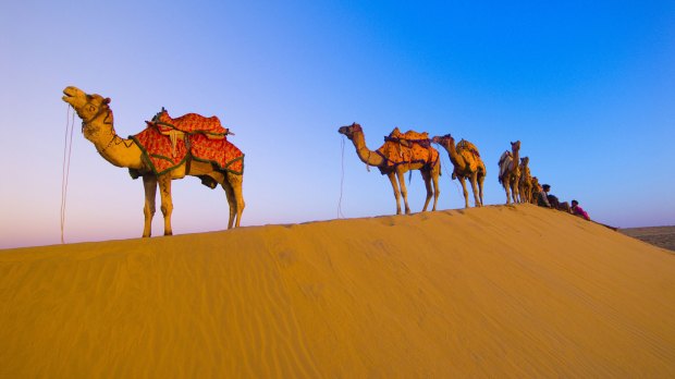 rajasthan-tour-planner-with-camel-safari